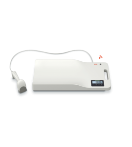 Seca 331 i